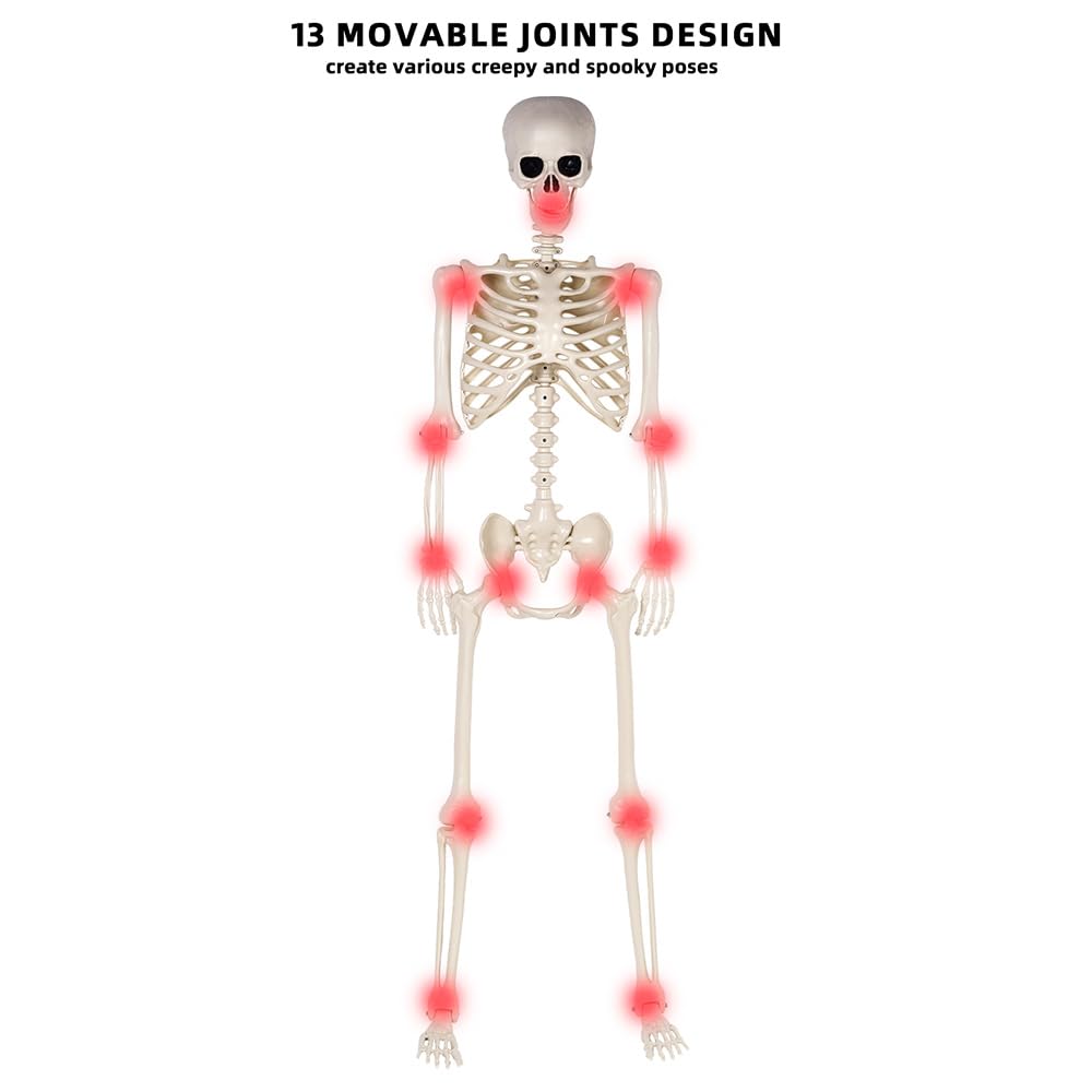 5.4 ft Life Size Posable Plastic Skeleton I384