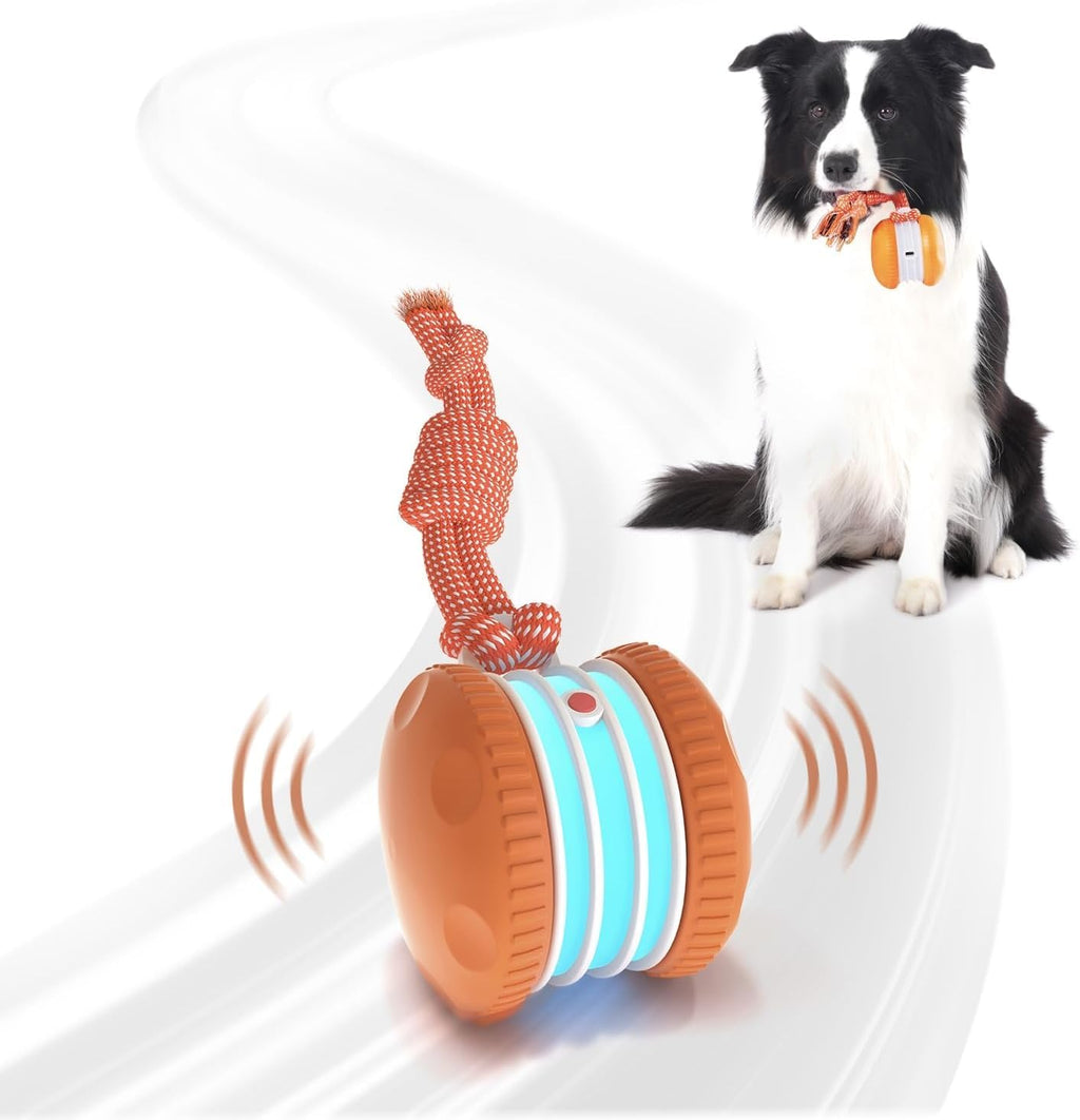 Electric Moving Dog Ball with Rope B232