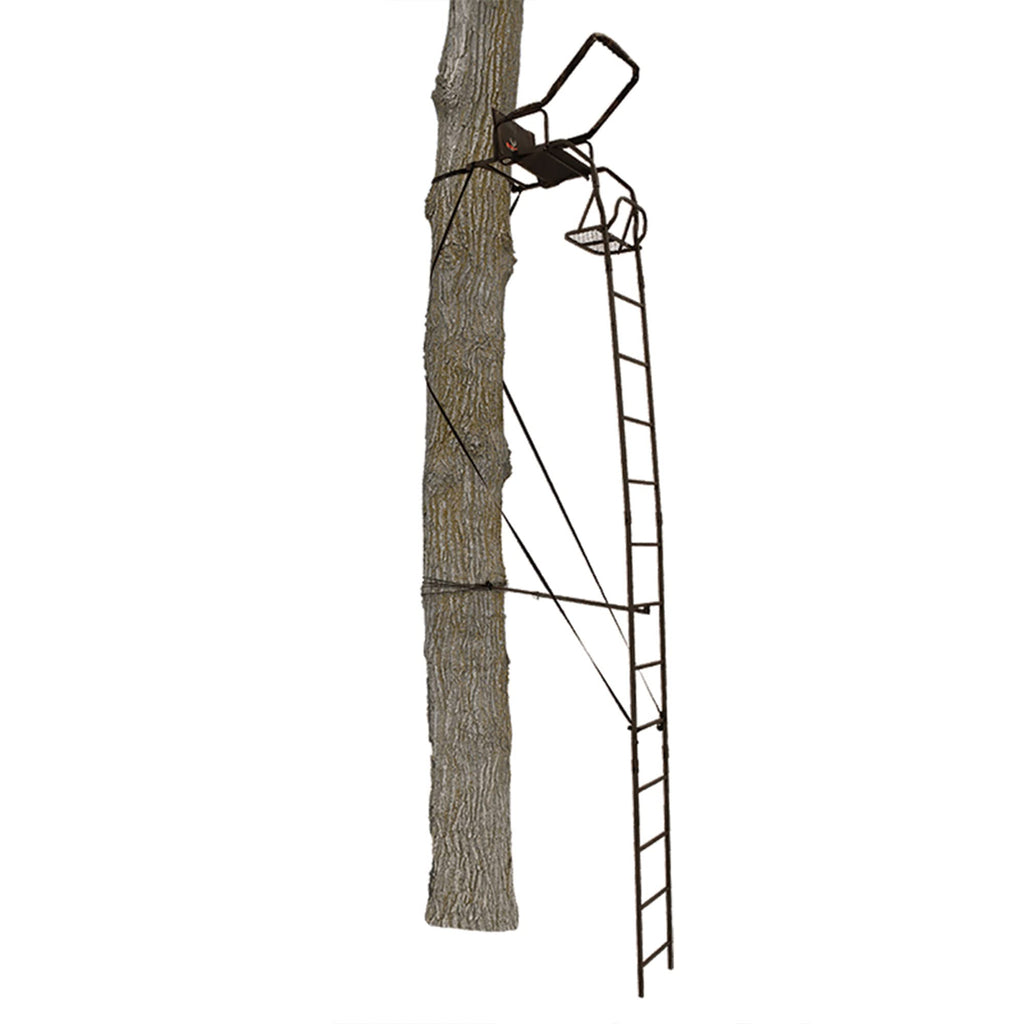 Ladder Tree Stand P867
