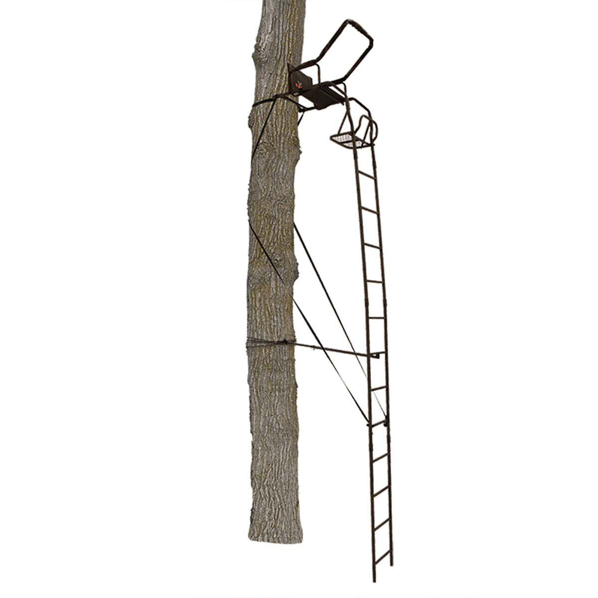 Ladder Tree Stand P867