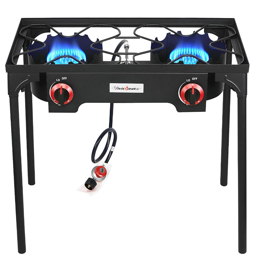 2 Burner Portable Propane Gas Grill X9017