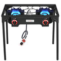 2 Burner Portable Propane Gas Grill X9017