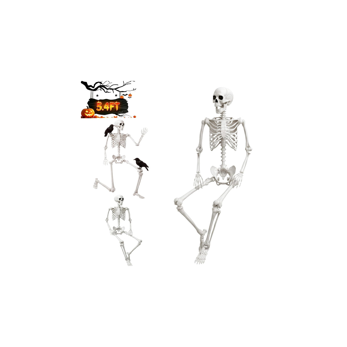 Halloween Life Size Human Skeleton with Posable Joint Q2435