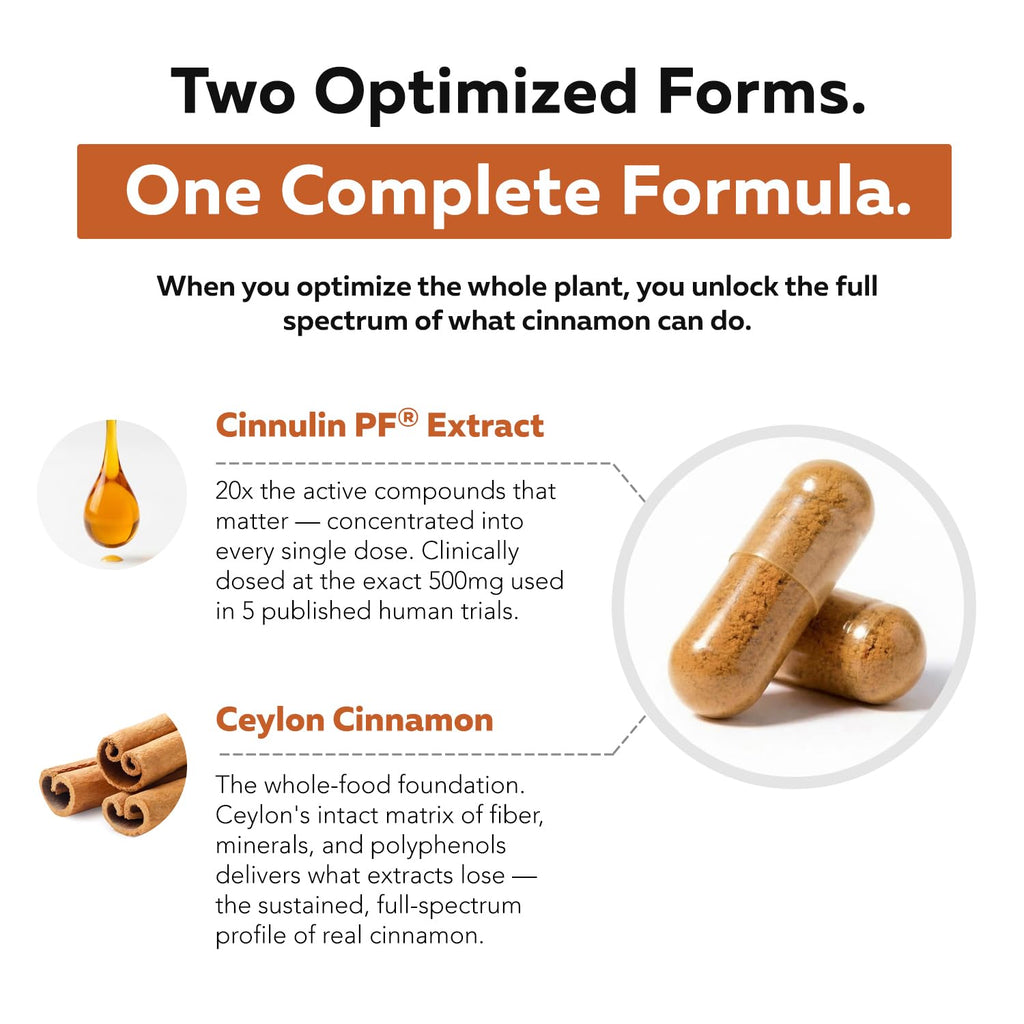 Cinnamon 1000mg Extract 60 Vegan Capsules V67884
