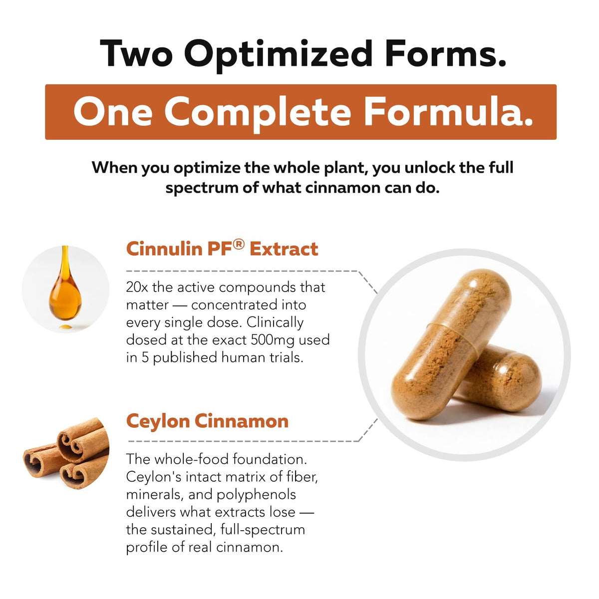 Cinnamon 1000mg Extract 60 Vegan Capsules V67884