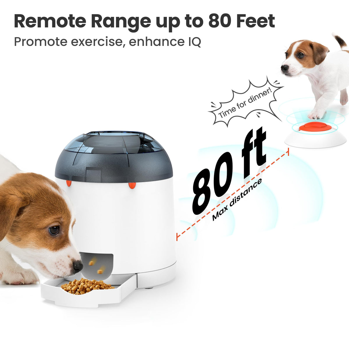 Dog Puzzle Feeder Toy O222
