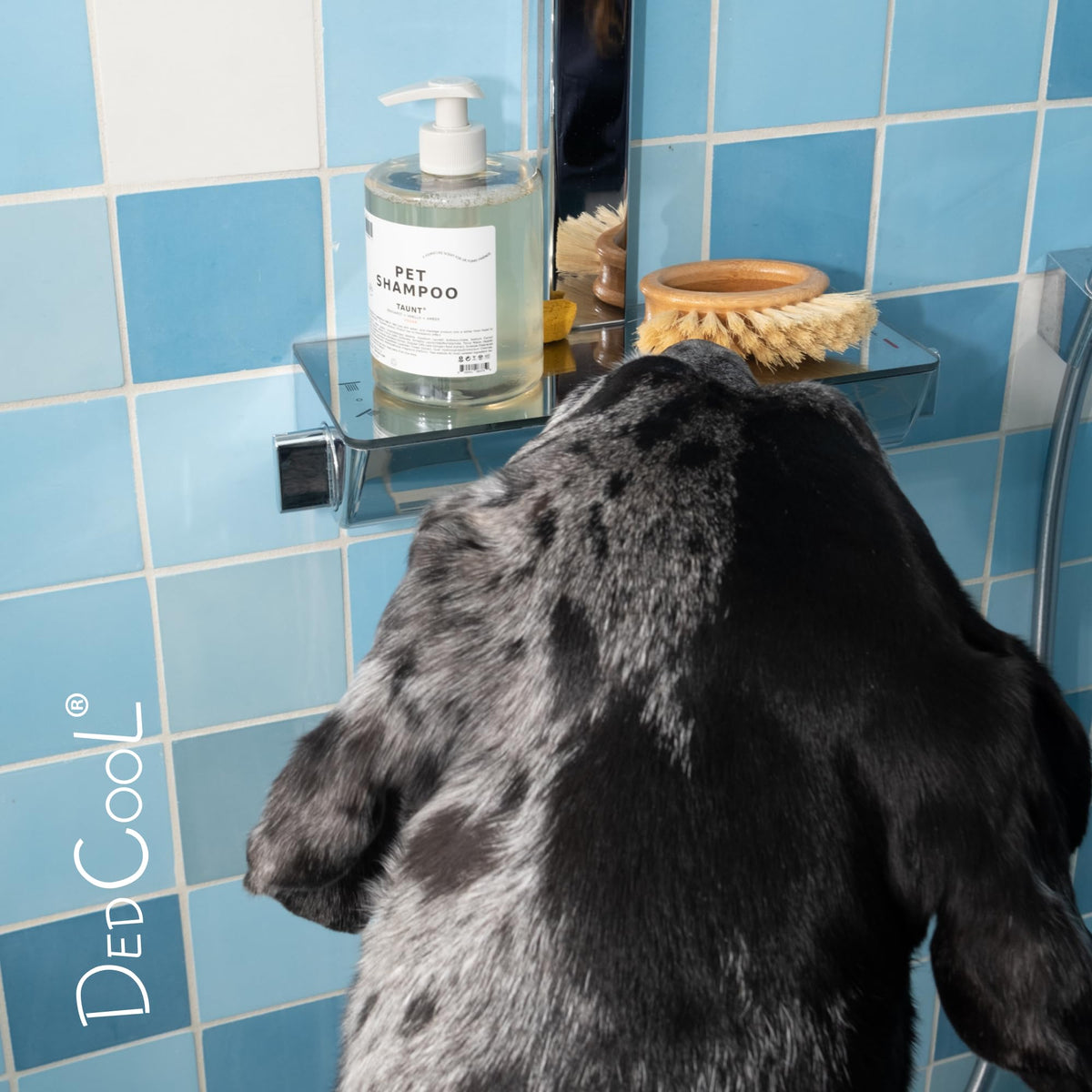 Pet Shampoo 16.9 fl oz R5083