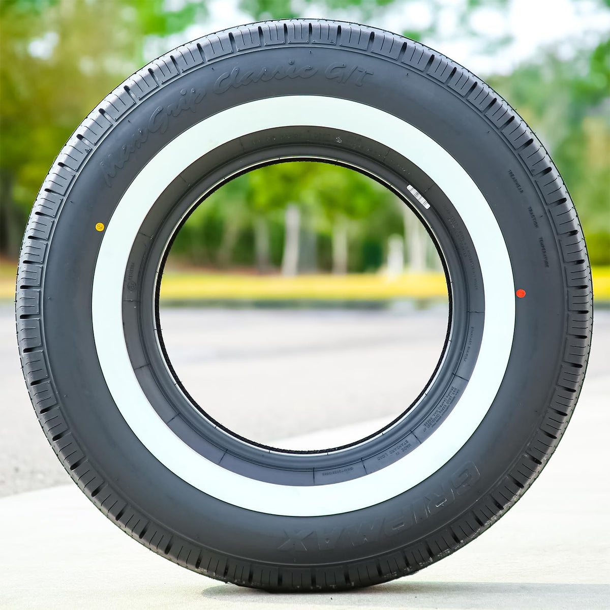 205/75R15 97H SL All Season Radial Tires P475