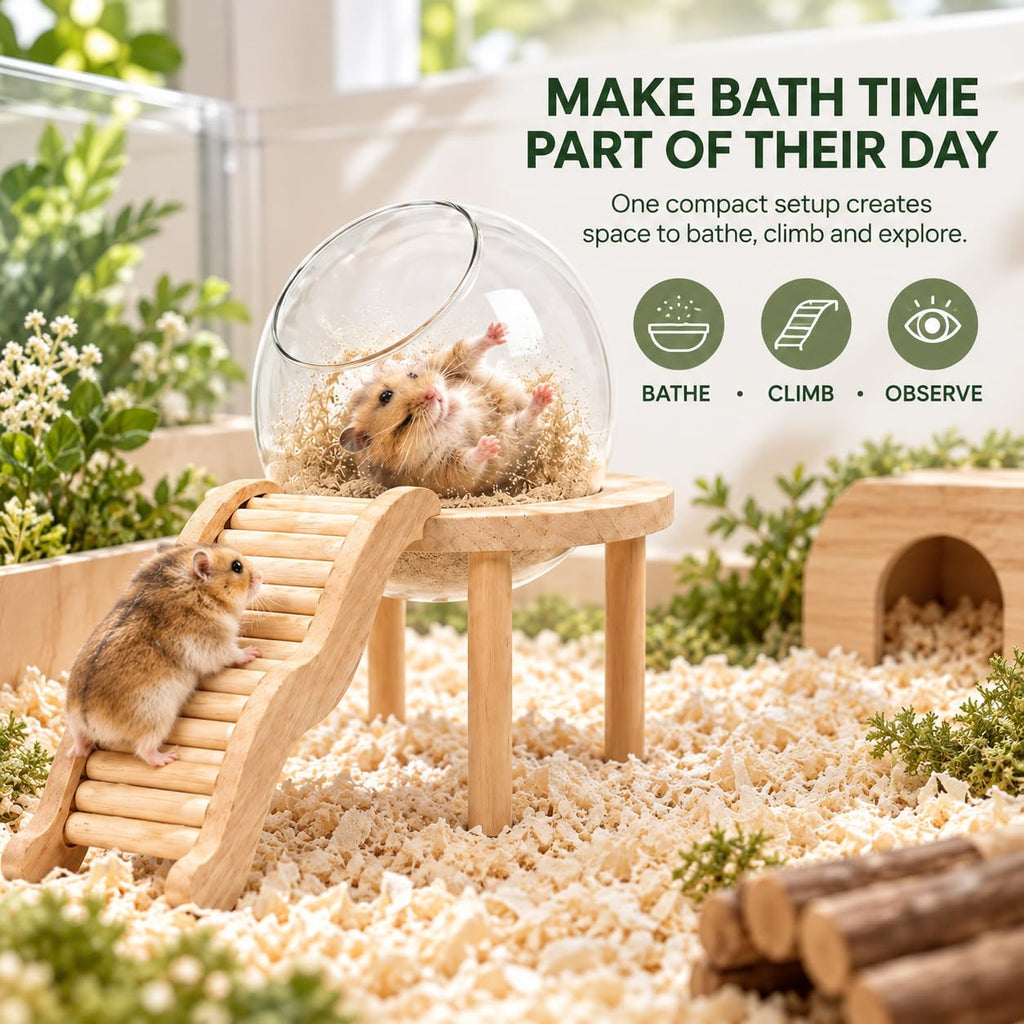 Hamster Bath Container with Clear Dome O585713