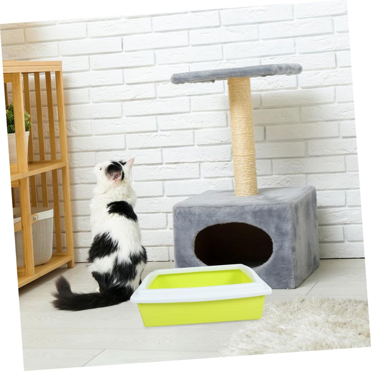 Sifting Cat Litter Box with Frame Q4929
