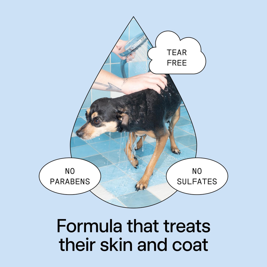 Pet Shampoo 16.9 fl oz R5083