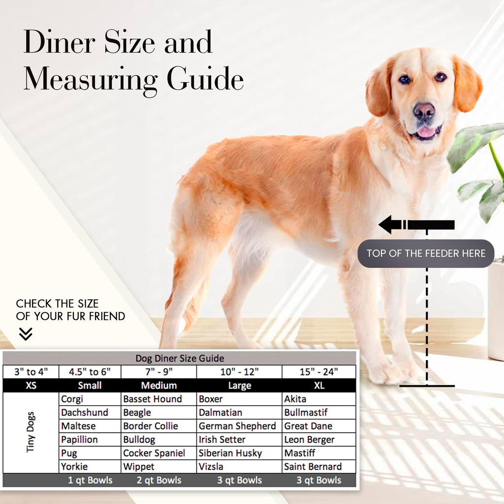 Black Triple Bowl Dog and Cat Feeder Stand with 3-2 Qt Stainless Bowls W471584