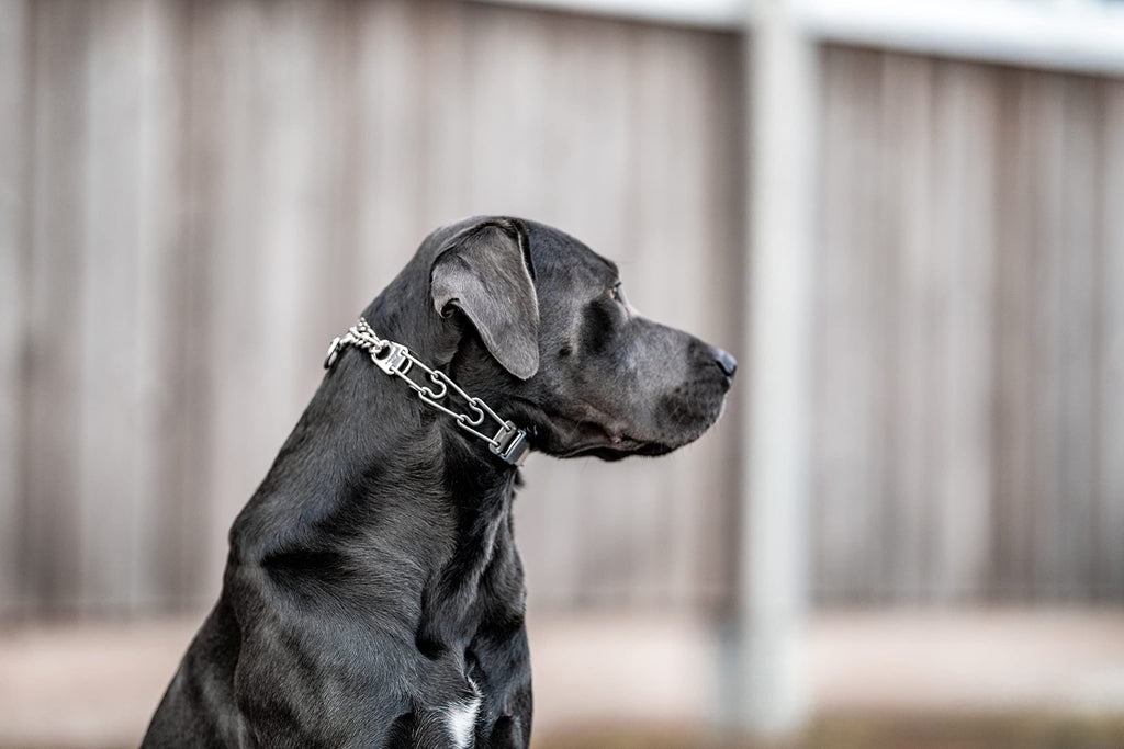 Adjustable Stainless Steel Prong Collar with Quick Release Buckle Y7385