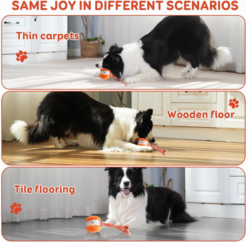Electric Moving Dog Ball with Rope B232