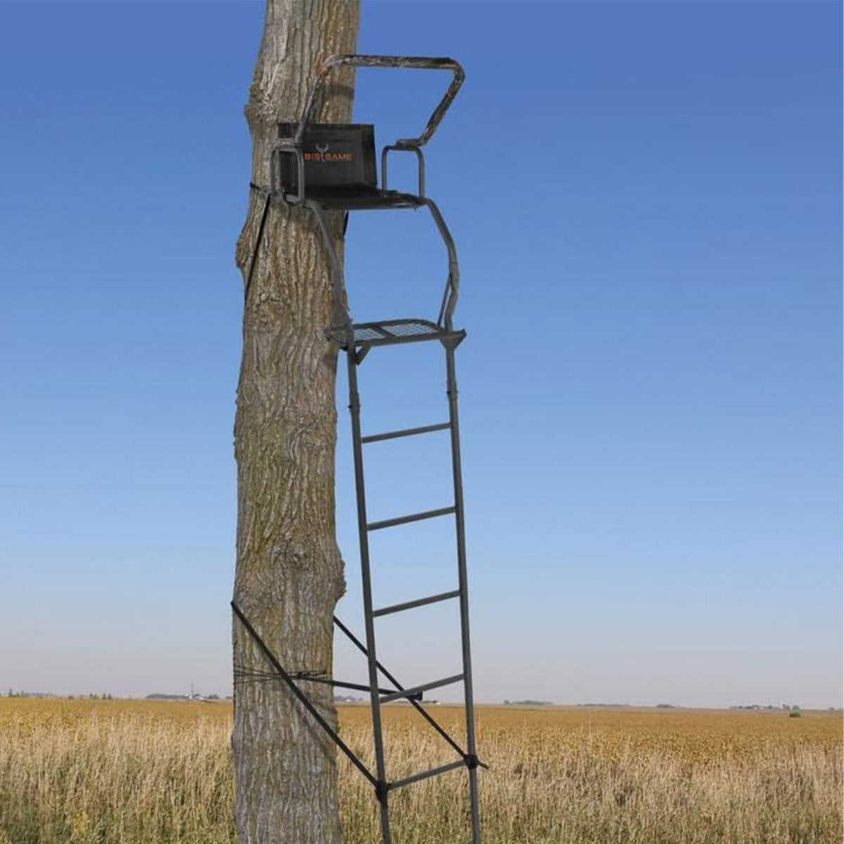 Ladder Tree Stand P867