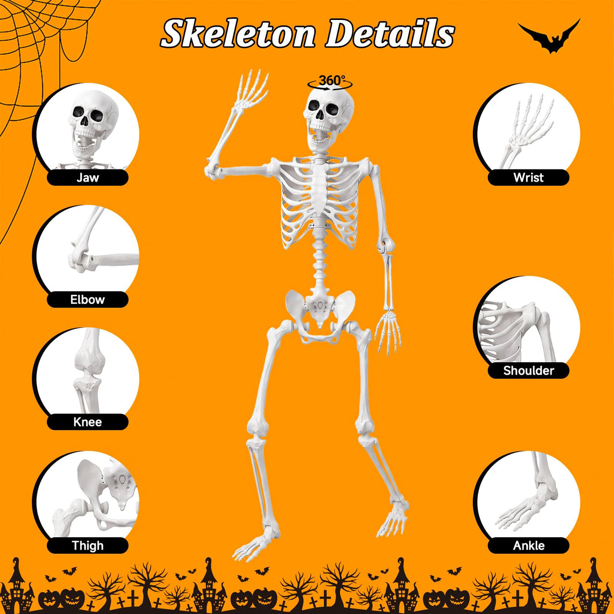 Halloween Life Size Human Skeleton with Posable Joint Q2435