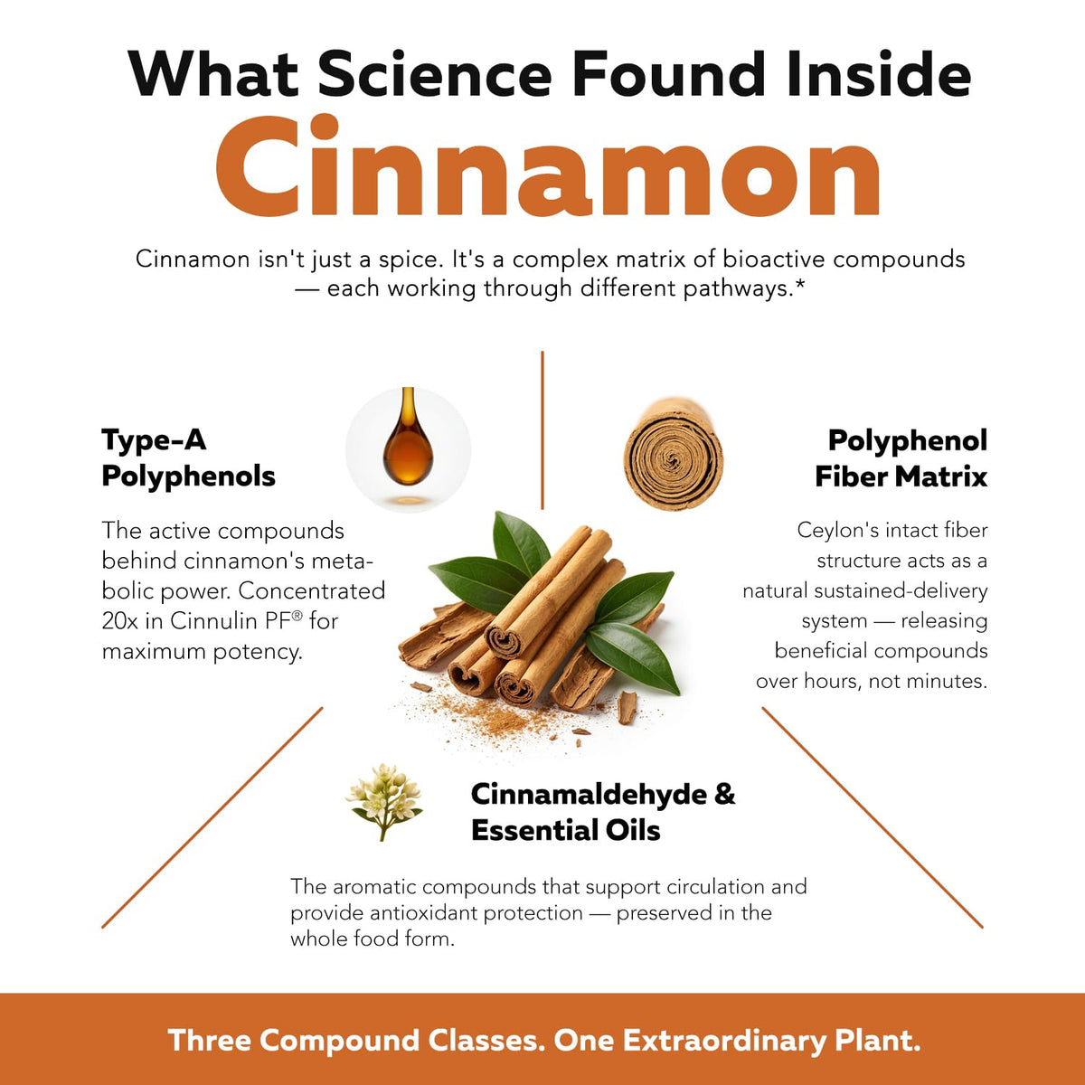 Cinnamon 1000mg Extract 60 Vegan Capsules V67884