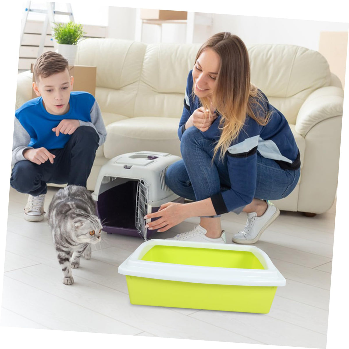 Sifting Cat Litter Box with Frame Q4929