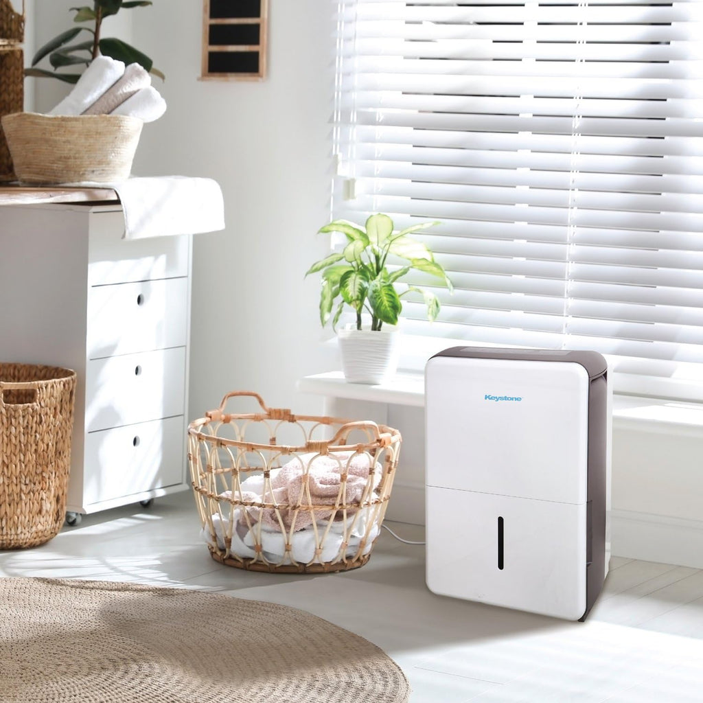 50-Pint Dehumidifier with Built-in Pump U565
