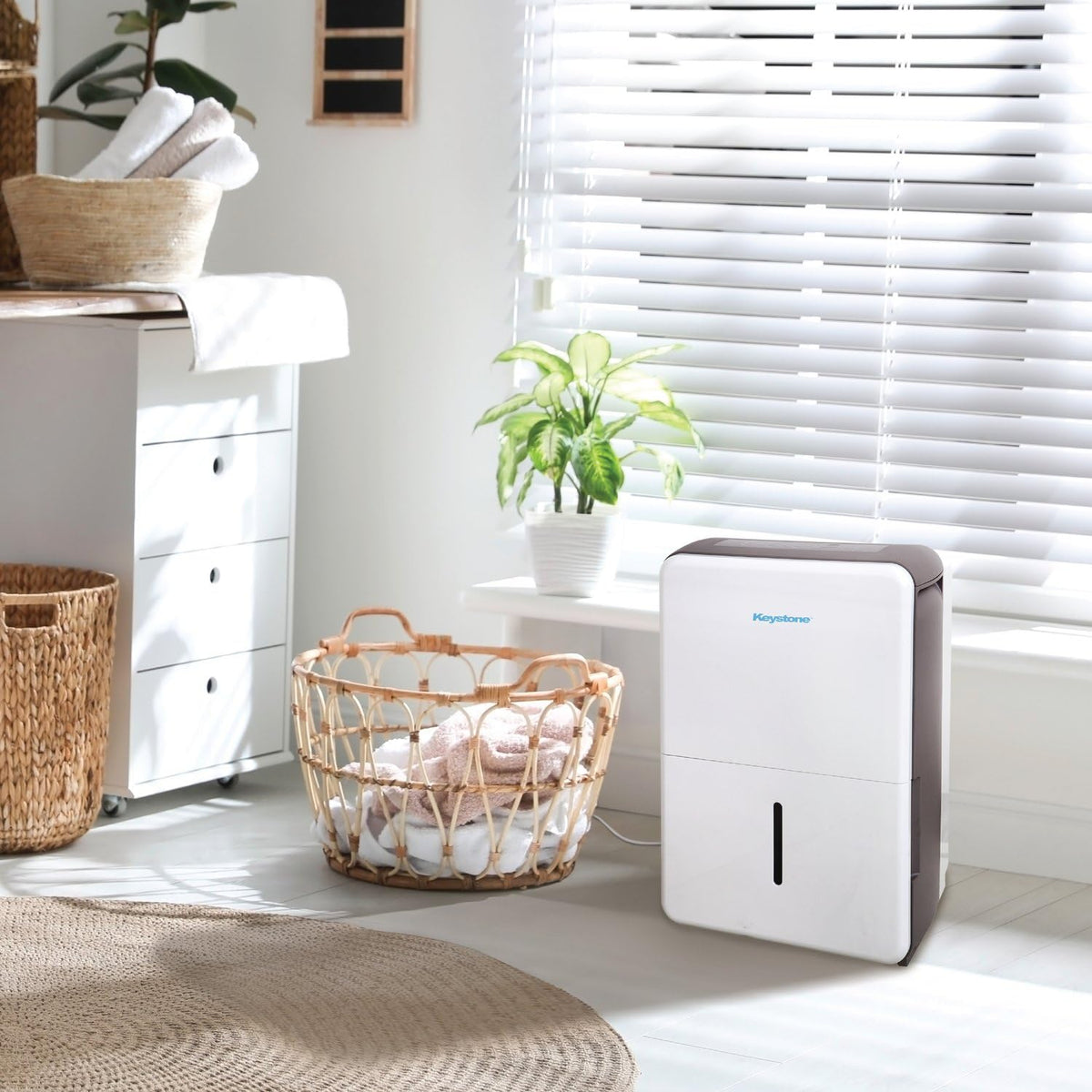 50-Pint Dehumidifier with Built-in Pump U565