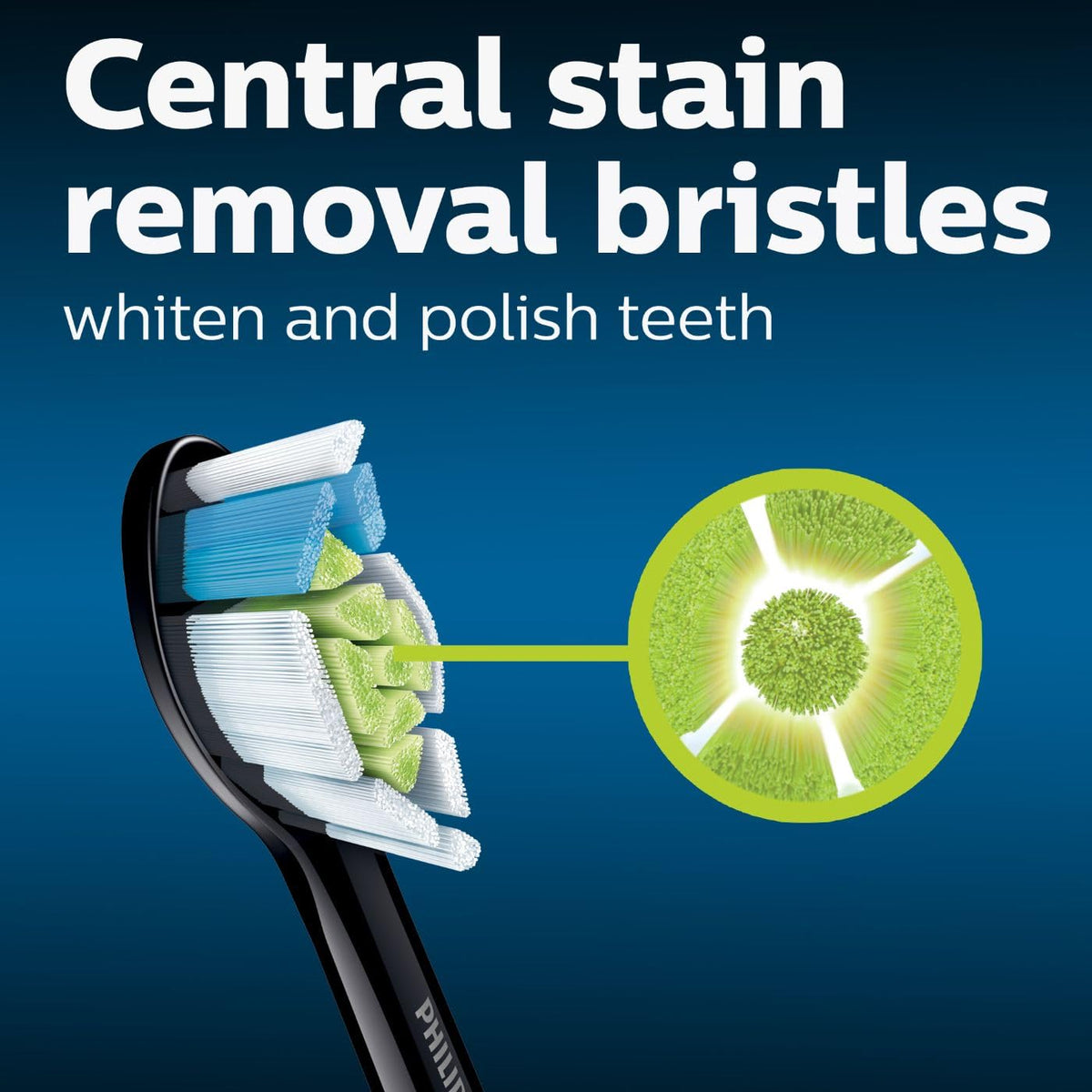 White and Black Replacement Toothbrush Heads, 2 Brush Heads G11483