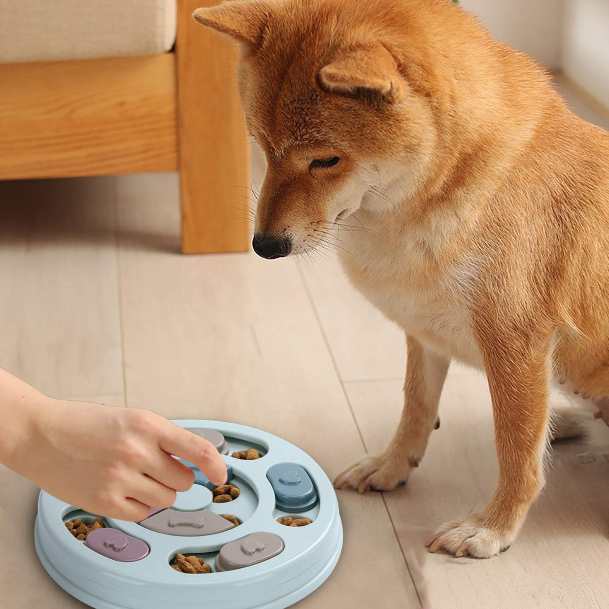 Dog Treat Puzzle M609081