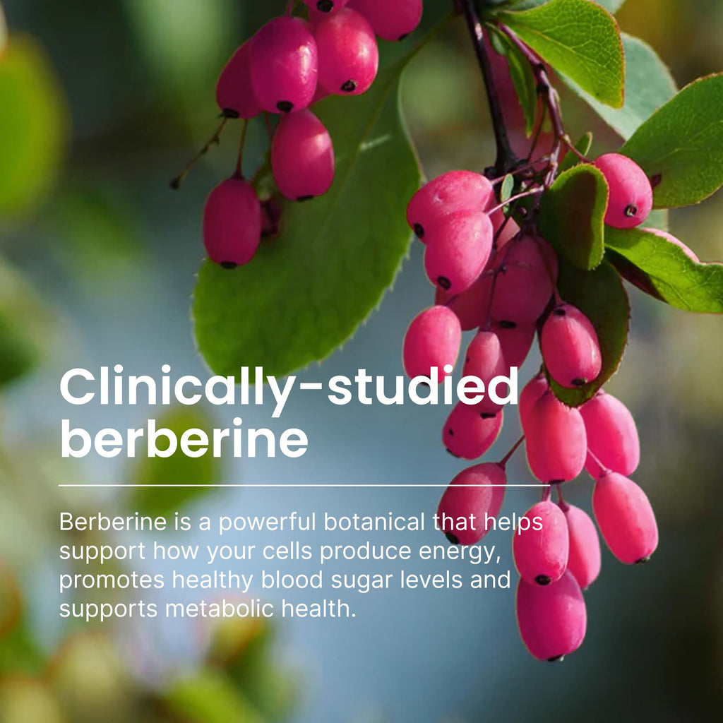550mg Berberine Capsules 30 Ct F8277