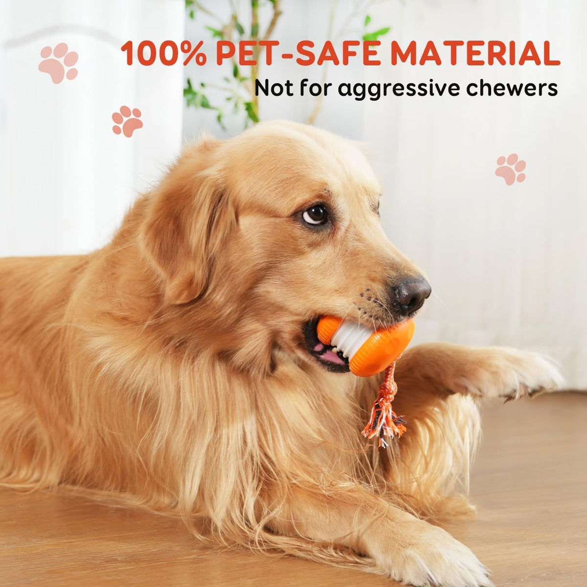 Electric Moving Dog Ball with Rope B232