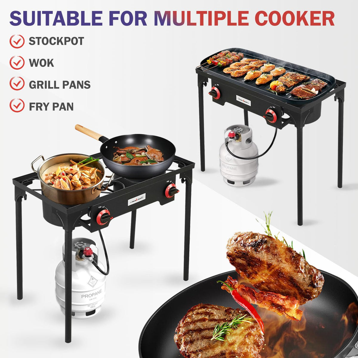 2 Burner Portable Propane Gas Grill X9017