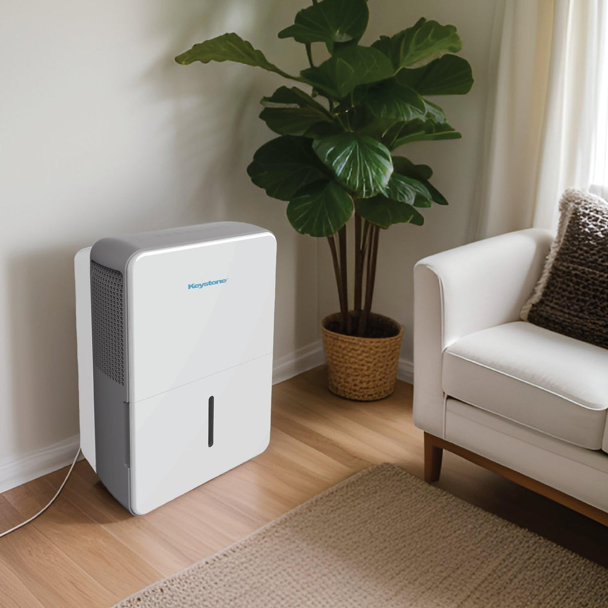 50-Pint Dehumidifier with Built-in Pump U565