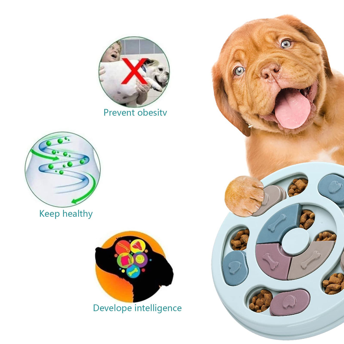 Dog Treat Puzzle M609081