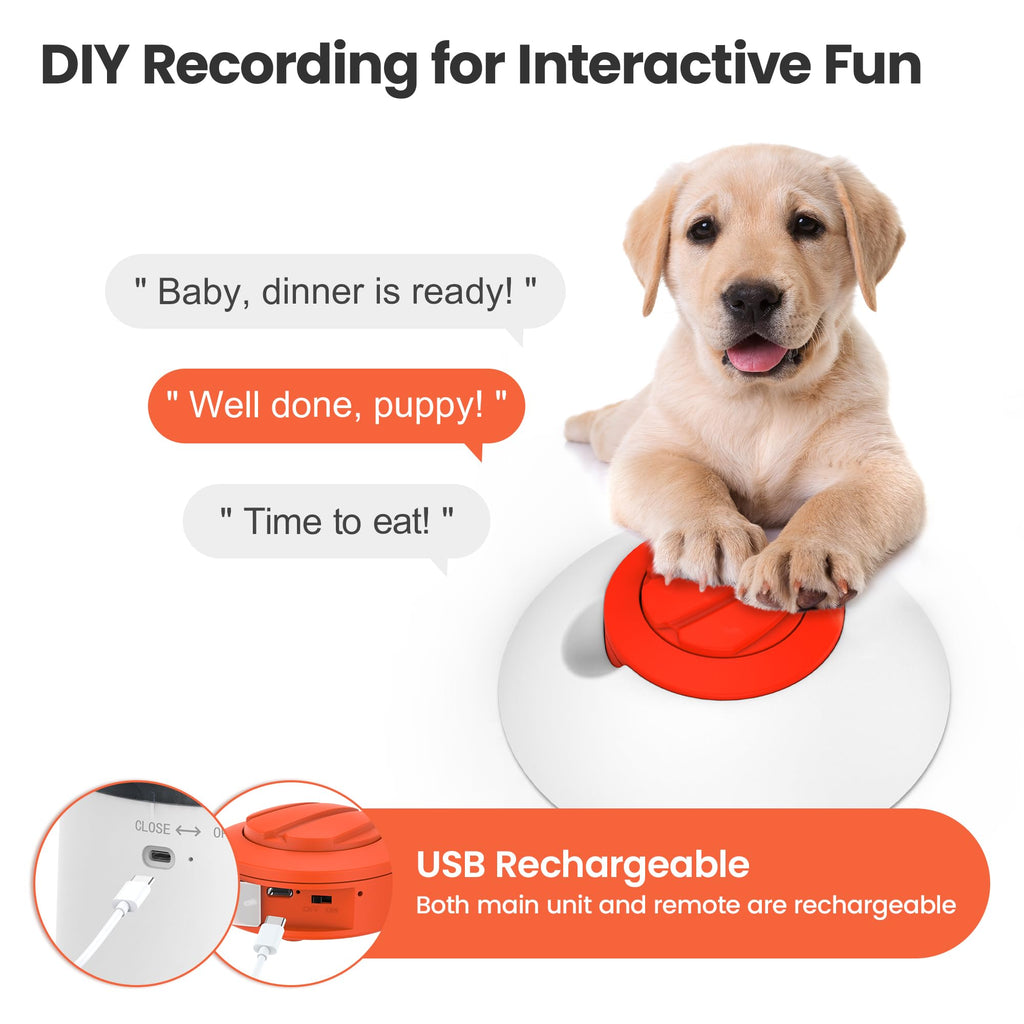 Dog Puzzle Feeder Toy O222