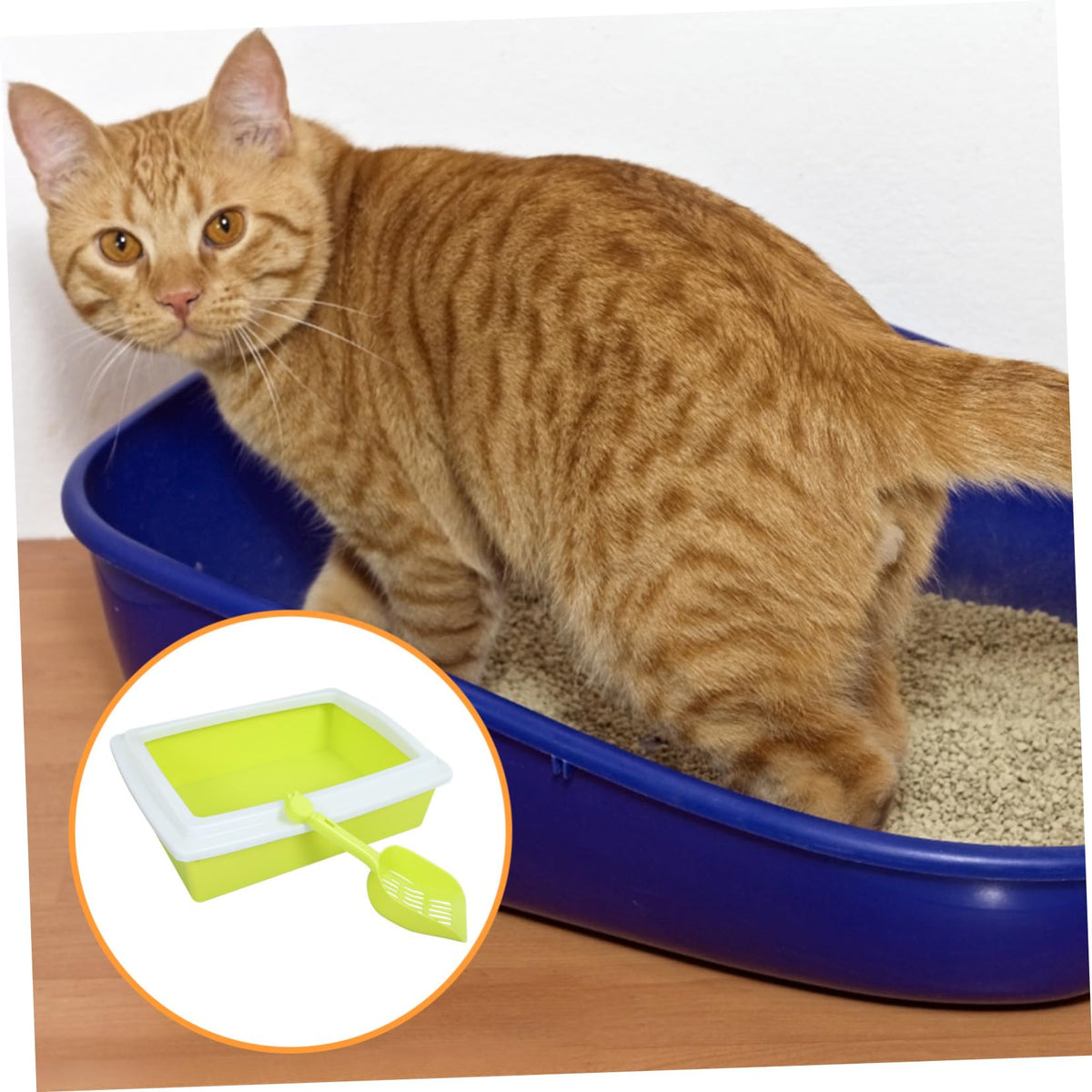 Sifting Cat Litter Box with Frame Q4929