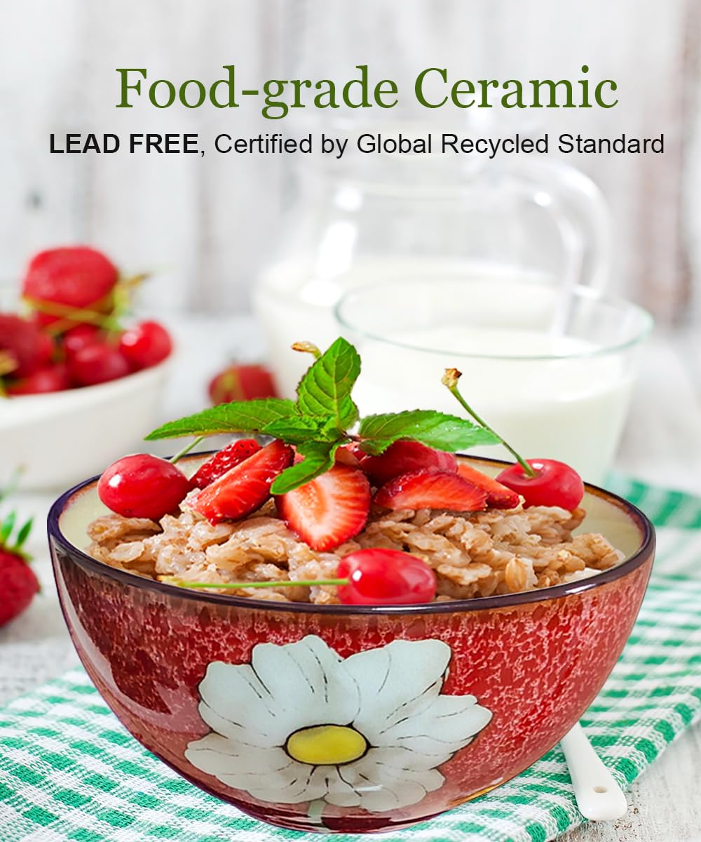 Ceramic Cereal Bowl Set of 4, 28oz Floral Pattern, Microwave Safe Y569037