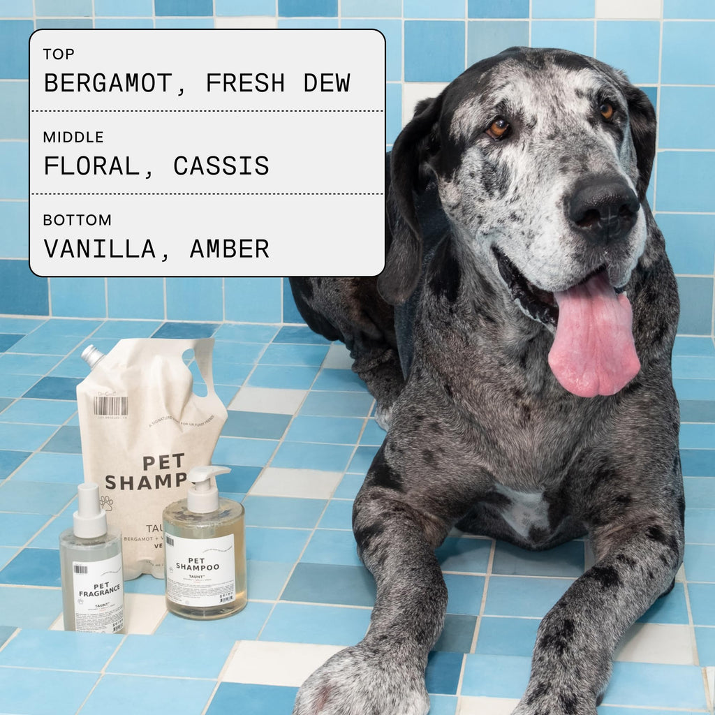 Pet Shampoo 16.9 fl oz R5083