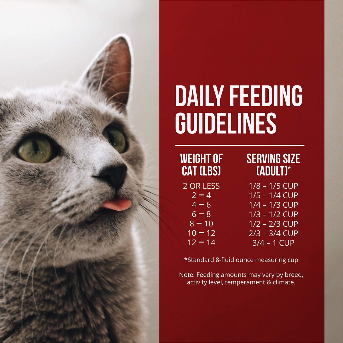 Chicken & Turkey Meal Grain-Free Dry Cat Food 4lb J400210
