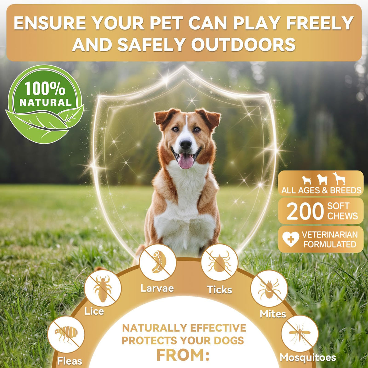 Flea and Tick Prevention Soft Chews for Dogs and Cats O2047