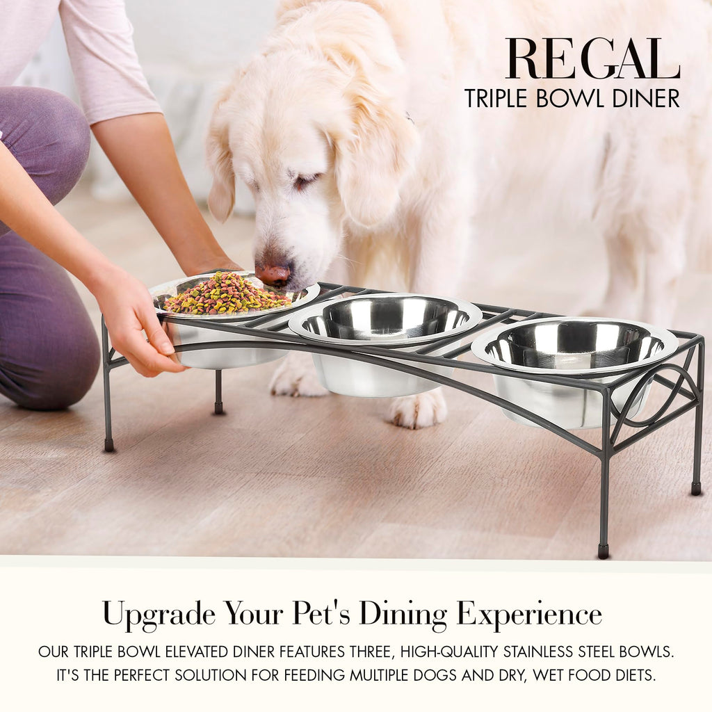 Black Triple Bowl Dog and Cat Feeder Stand with 3-2 Qt Stainless Bowls W471584