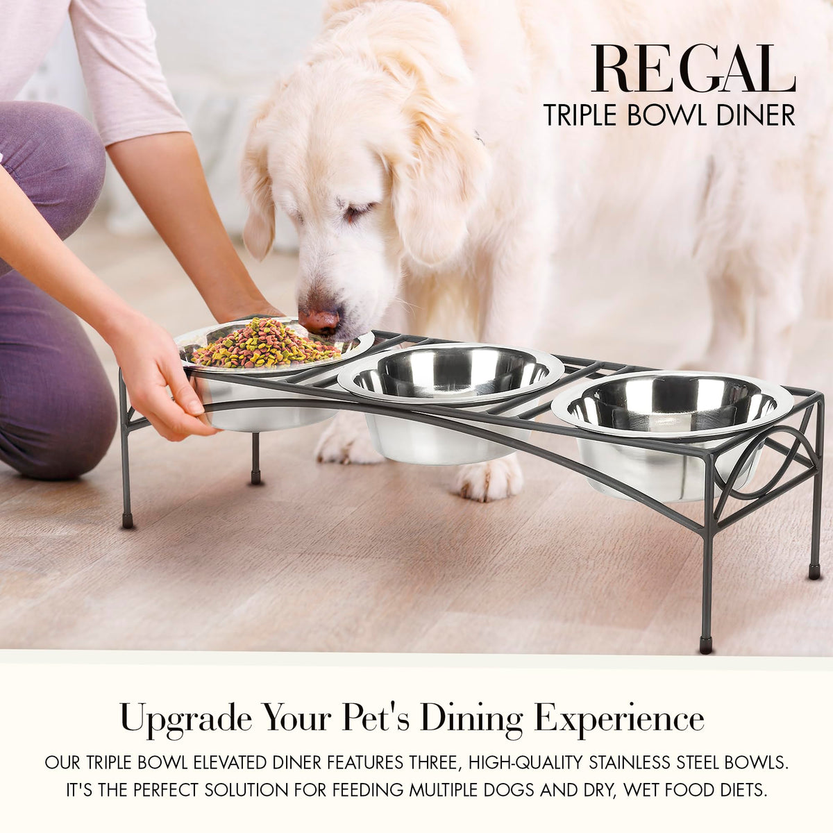 Black Triple Bowl Dog and Cat Feeder Stand with 3-2 Qt Stainless Bowls W471584