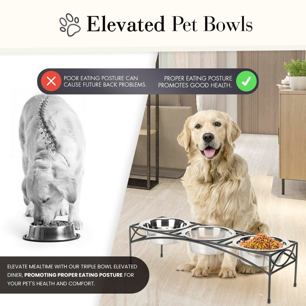 Black Triple Bowl Dog and Cat Feeder Stand with 3-2 Qt Stainless Bowls W471584