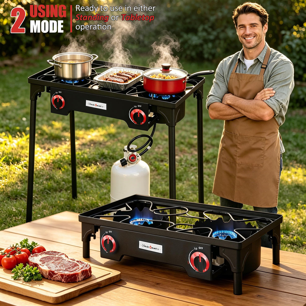 2 Burner Portable Propane Gas Grill X9017