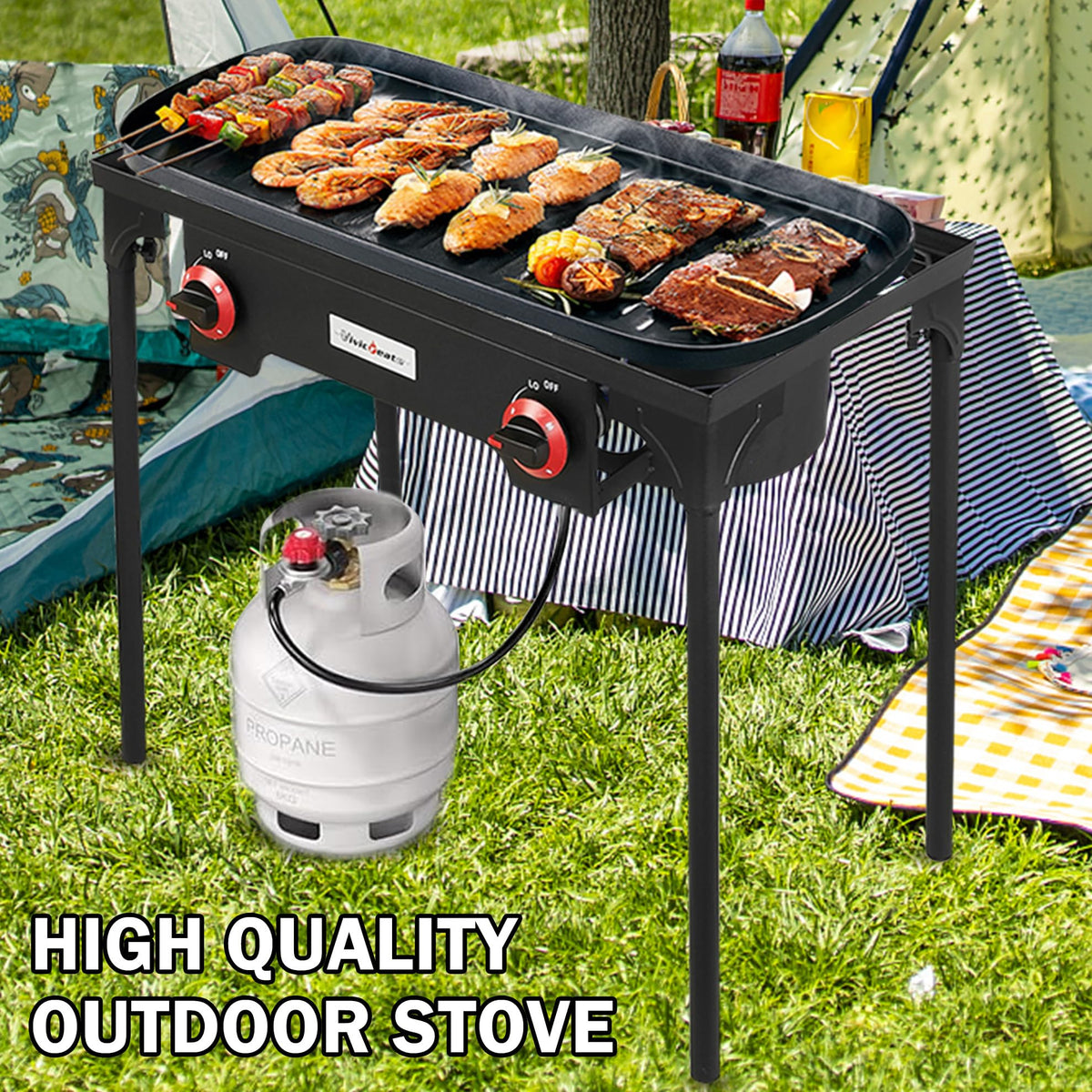 2 Burner Portable Propane Gas Grill X9017